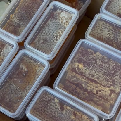 Raw honeycomb packed and ready for sale