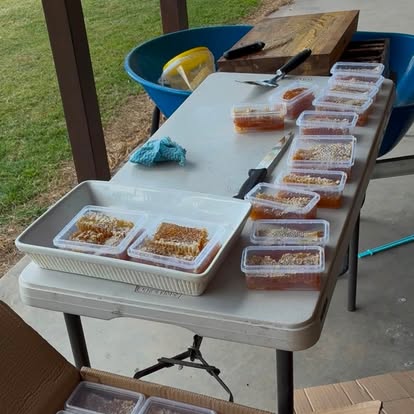Honeycomb being packed at the bench