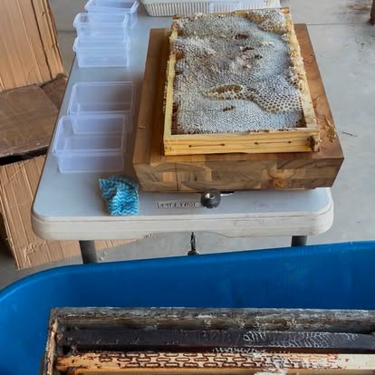 A honeycomb frame ready to be cut