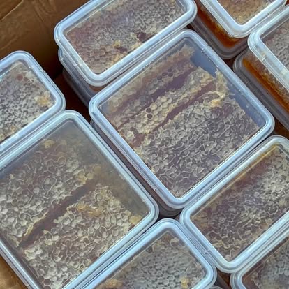 Trays of cut honeycomb